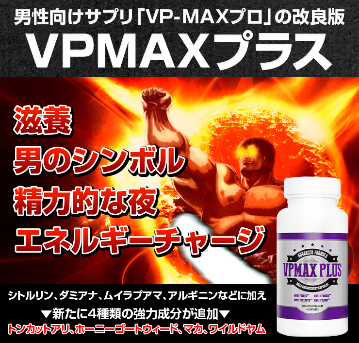 VPMAXプラス