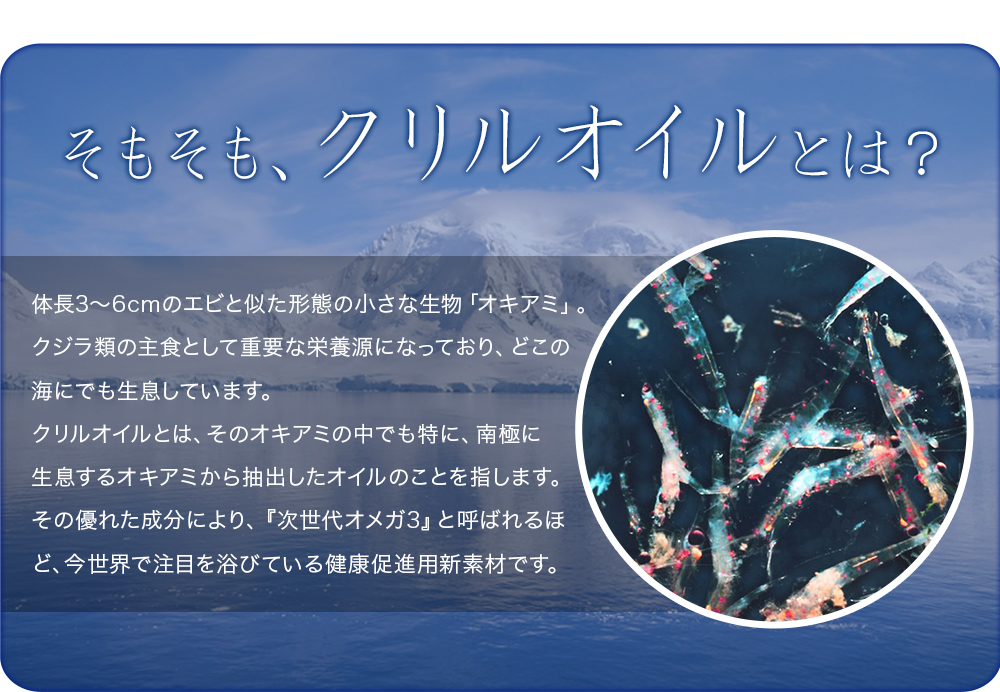 クリルオイル流（Krill Oil RYU）