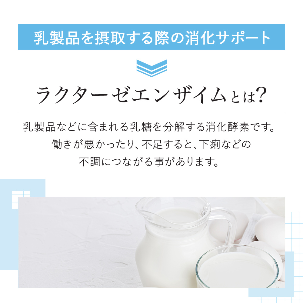 [VitalMe]バイタルミー ラクターゼエンザイム300mg：2