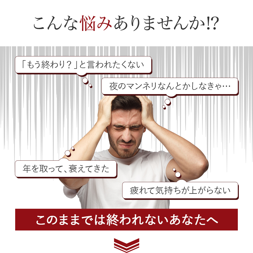 [VitalMe Premium]バイタルミープレミアム スタミナイズRX：2