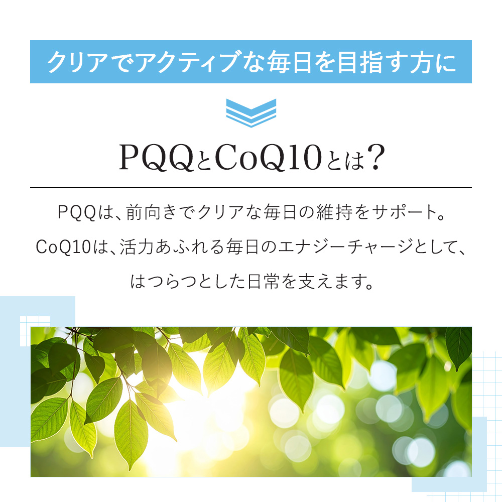 [VitalMe]バイタルミー PQQ_CoQ10_60錠：2