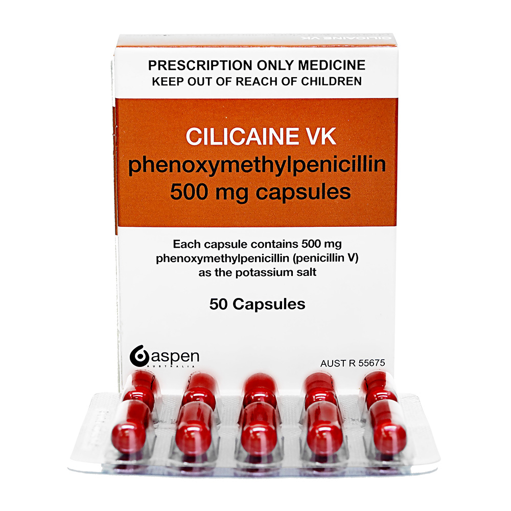 商品画像: シリカインVK500mg 【1箱50錠】